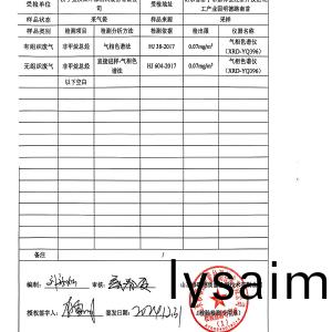 檢測報告（2024.12.31）