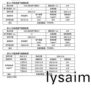 檢測報告（2024.12.31）